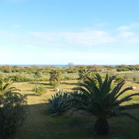 Front De Avec Piscine, 6 Couchages, Animaux Admis - Fr-1-225d-83 Lägenhet Saint-Cyprien (Pyrenees-Orientales)
